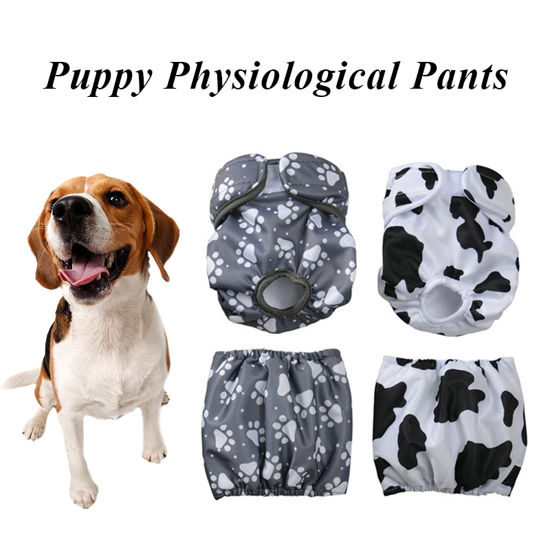 1PC Dog Physiological Pants Cute Print Diaper Dog Shorts Diapers Sanitary Washable Female Dog Panties Underwear Briefs For Dogs
1PC Dog Physiological Pants Cute Print Diaper Dog Shorts Diapers Sanitary Washable Female Dog Panties Underwear Briefs For Dogs
