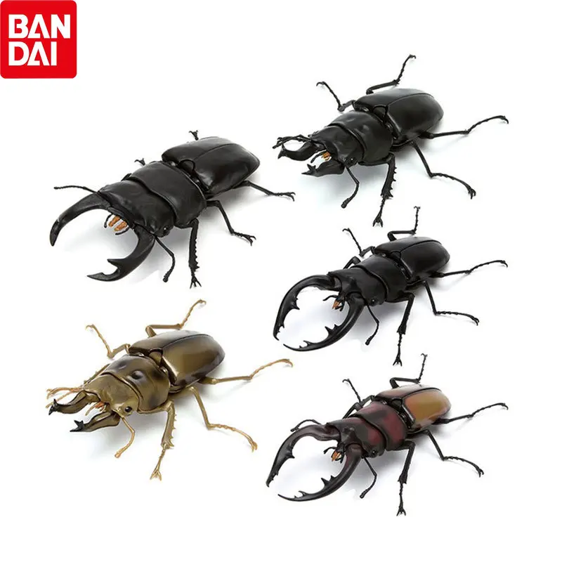 BANDAI, искусственное насекомое, модель животного, Lucanida Toy 03, статуэтка насекомого, детская игрушка, декоративные подарки
BANDAI, искусственное насекомое, модель животного, Lucanida Toy 03, статуэтка насекомого, детская игрушка, декоративные подарки