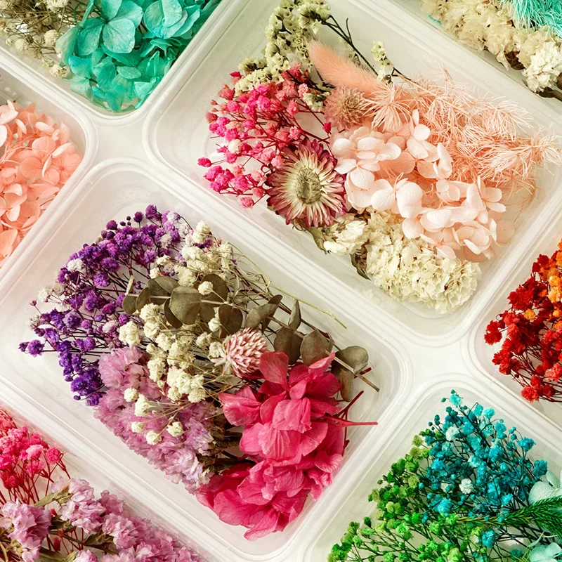 1 Box of Dried Flower Plant Natural Color DIY Frame Embossing Material Scented Candle Decorative Petal Craft Candle Making
1 Box of Dried Flower Plant Natural Color DIY Frame Embossing Material Scented Candle Decorative Petal Craft Candle Making