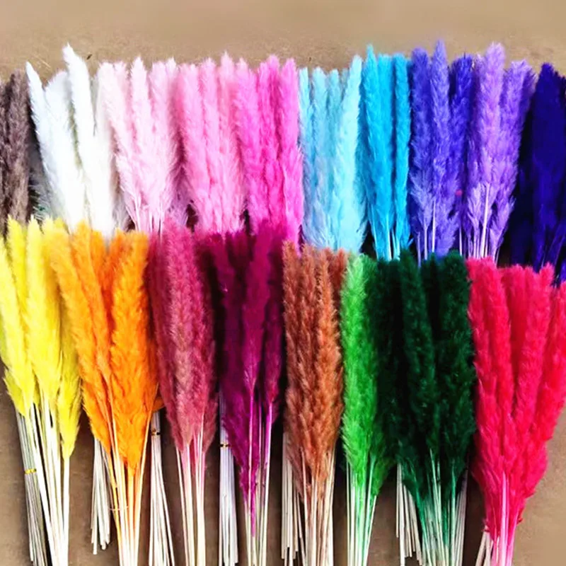 10PCS/Length About 40CM Real Dried Natural Reed Grass Ornaments For Home Decoration Room Easter Decor
10PCS/Length About 40CM Real Dried Natural Reed Grass Ornaments For Home Decoration Room Easter Decor