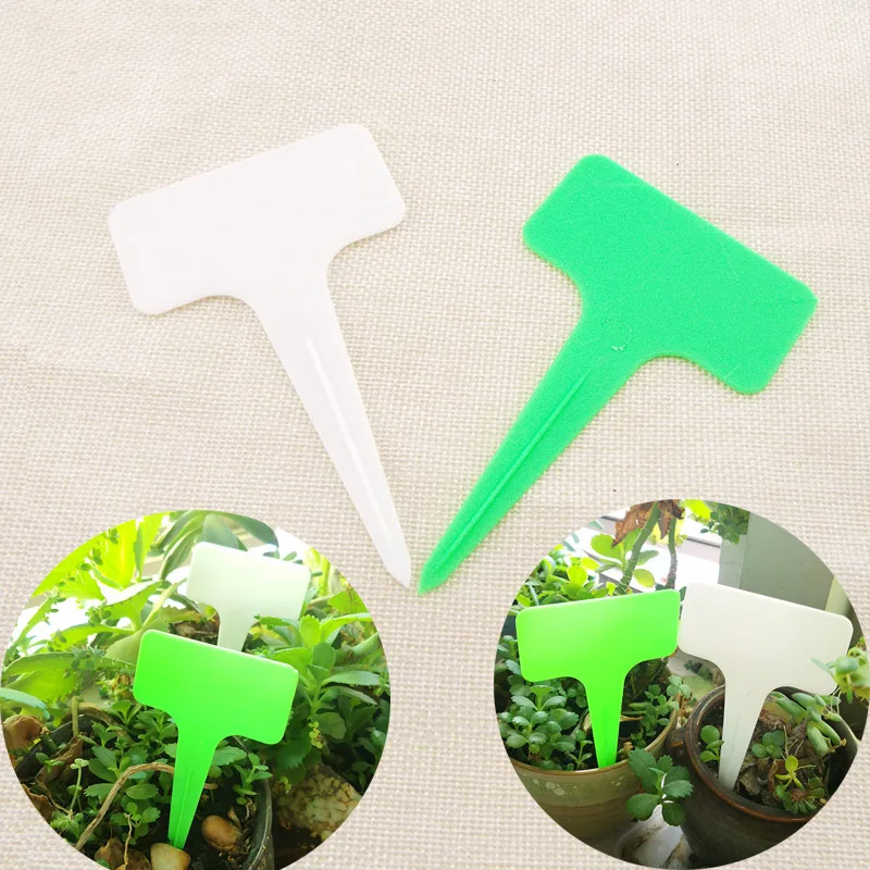 50pcs T-type Plastic Nursery Garden Plant Tag Flower Label Plant Pot Marker for Plants DIY Garden Decoration Tool Writing Plate
50pcs T-type Plastic Nursery Garden Plant Tag Flower Label Plant Pot Marker for Plants DIY Garden Decoration Tool Writing Plate