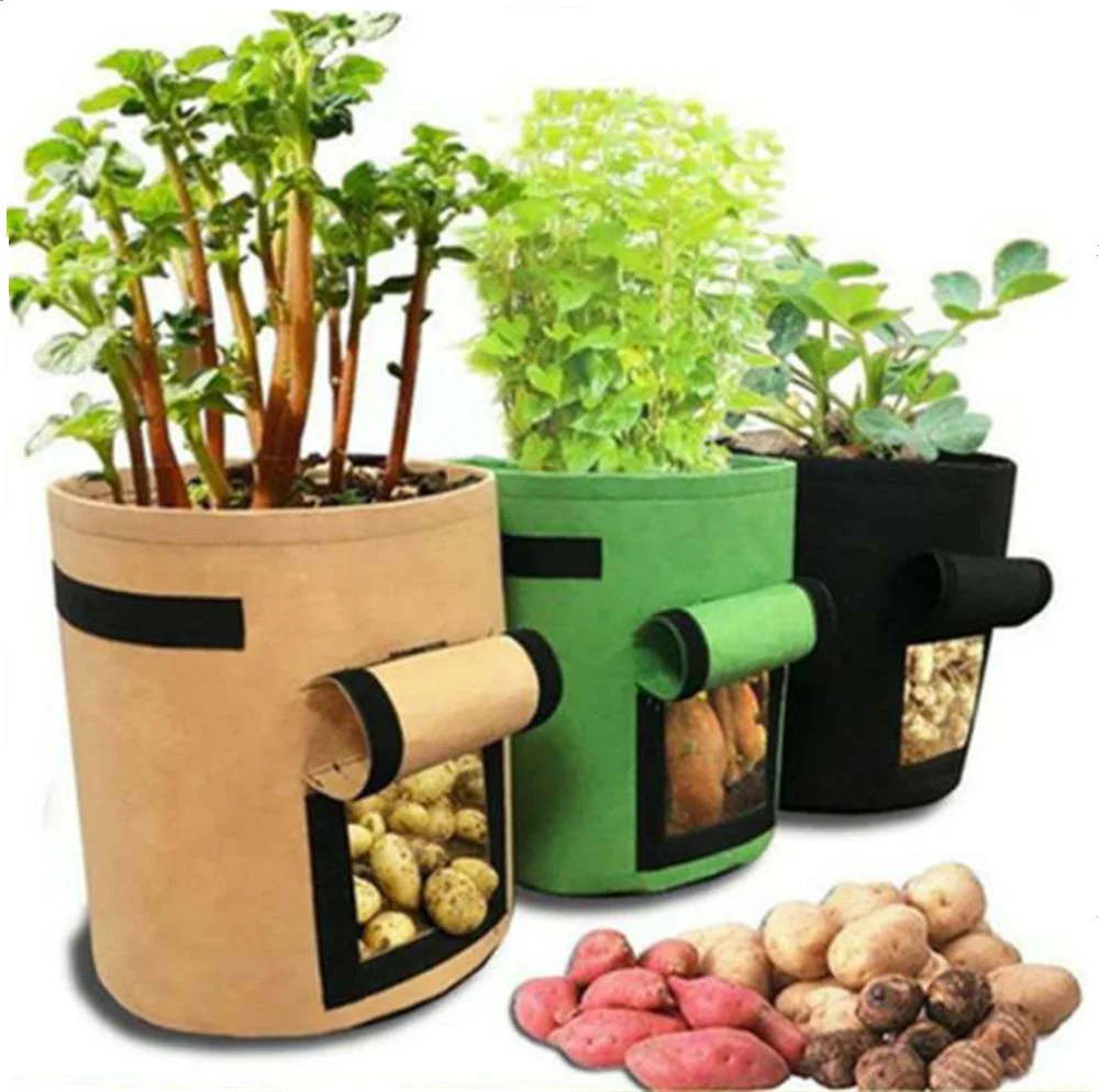3 Size Felt Plant Grow Bags Non Woven Fabric Garden Potato Pot Greenhouse Vegetable Growing Bags Moisturizing Vertical Tools
3 Size Felt Plant Grow Bags Non Woven Fabric Garden Potato Pot Greenhouse Vegetable Growing Bags Moisturizing Vertical Tools