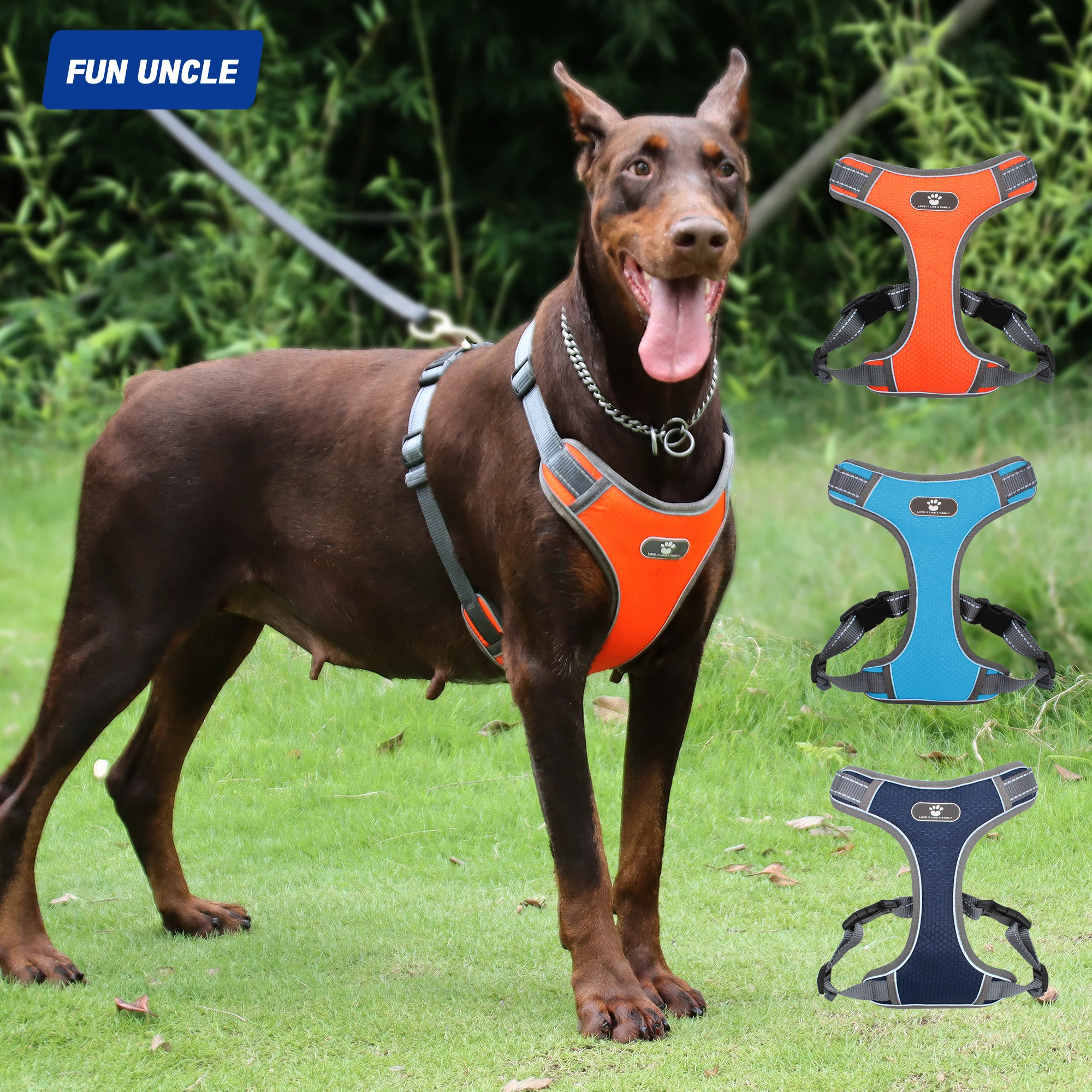Reflective Dog Harness Pet Vest Leash Adjustable Breathable Oxford Material For Medium And Large Doggy Products Accessories
Reflective Dog Harness Pet Vest Leash Adjustable Breathable Oxford Material For Medium And Large Doggy Products Accessories