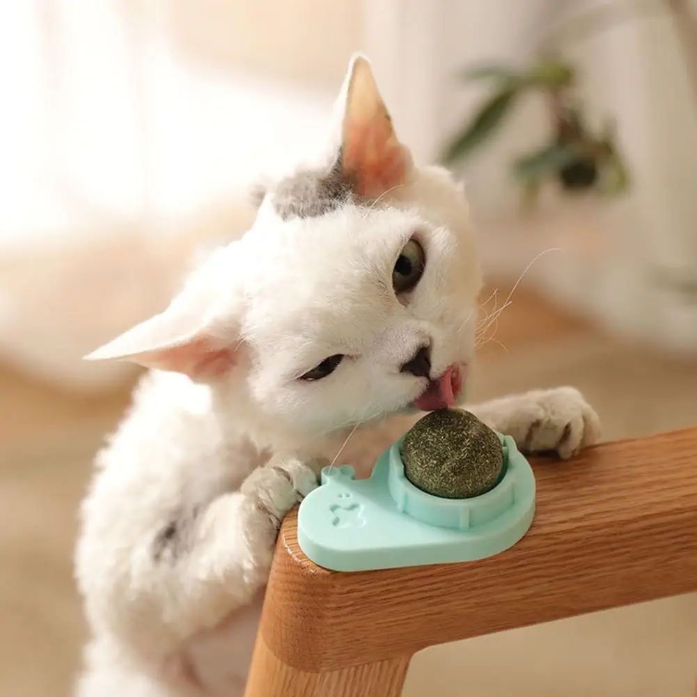 Вращающийся мяч для домашних животных, кошачий мяч в форме улитки, лижущий мяч для чистки зубов, моляр, игрушки для здорового образца, товары...
Вращающийся мяч для домашних животных, кошачий мяч в форме улитки, лижущий мяч для чистки зубов, моляр, игрушки для здорового образца, товары...