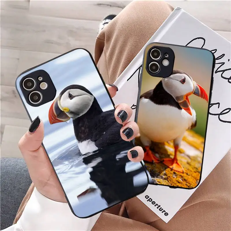 Puffin cute Animal Phone Case For iphone 12 11 13 7 8 6 s plus x xs xr pro max mini shell
Puffin cute Animal Phone Case For iphone 12 11 13 7 8 6 s plus x xs xr pro max mini shell