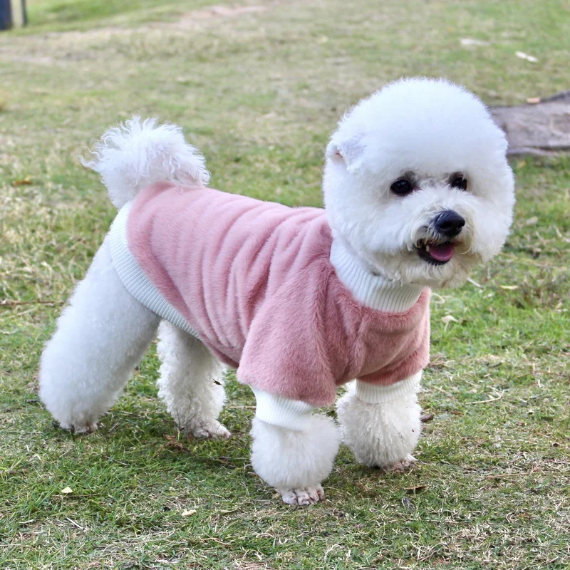Warm Dog Clothes For Small Medium Dogs Winter Autumn Pet Shirt Puppy Clothing Soft Jacket Outfit For Chihuahua French Bulldog
Warm Dog Clothes For Small Medium Dogs Winter Autumn Pet Shirt Puppy Clothing Soft Jacket Outfit For Chihuahua French Bulldog