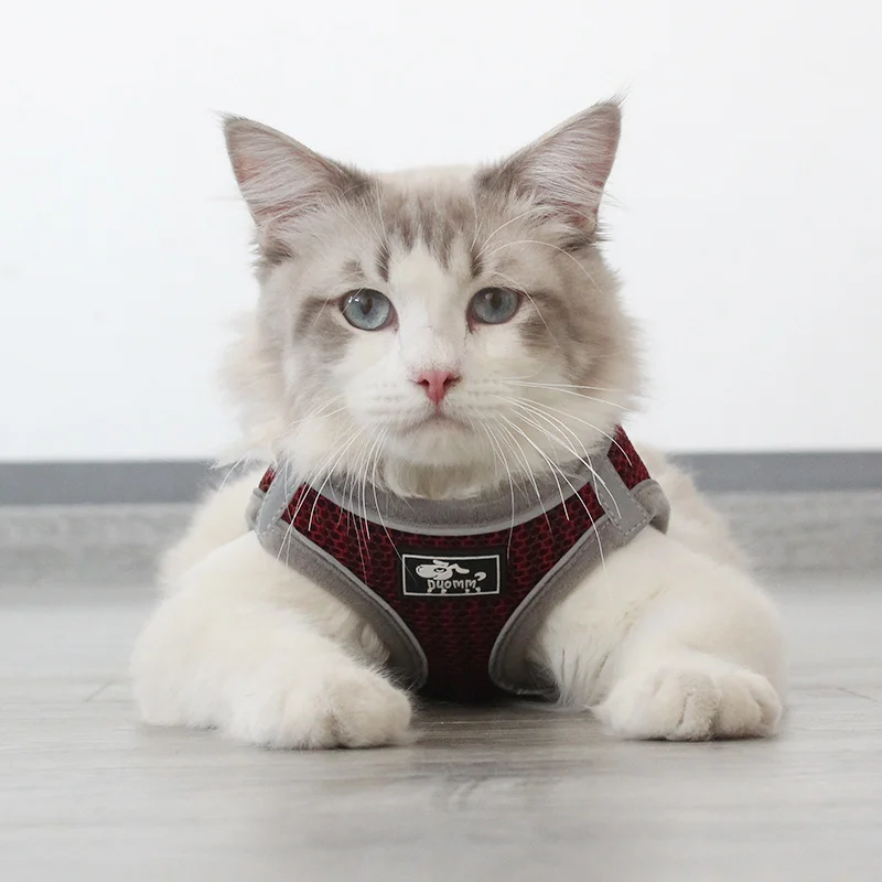 Breathable Cat Harness Vest Walking Lead Leash For Puppy Dogs Collar Adjustable Mesh Chest Vest Harness Reflective Pet Clothes
Breathable Cat Harness Vest Walking Lead Leash For Puppy Dogs Collar Adjustable Mesh Chest Vest Harness Reflective Pet Clothes