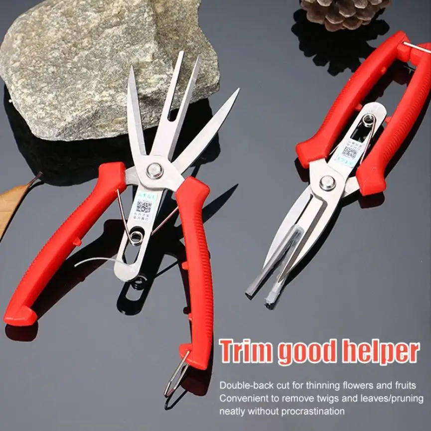 Double-port Fruit And Flower Thinning Shears Fruit Picking Shears Gardening Pruning Shears Fruit Tree Pruning Tools
Double-port Fruit And Flower Thinning Shears Fruit Picking Shears Gardening Pruning Shears Fruit Tree Pruning Tools