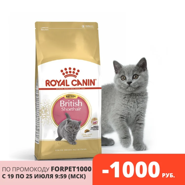 Royal Canin British Shorthair Kitten корм для котят британской короткошерстной породы 10