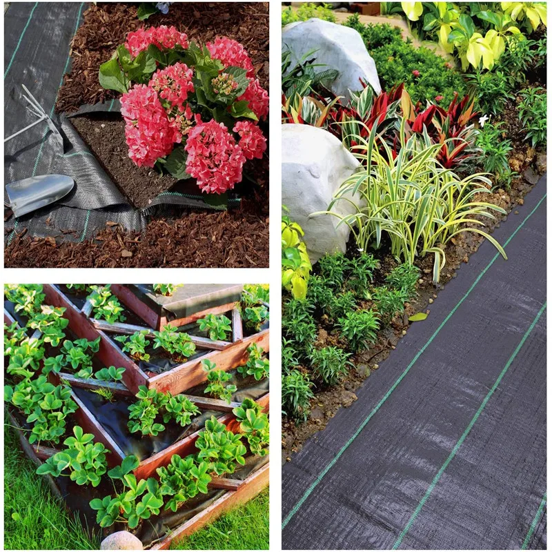 Weed Membrane Control Fabric for Plant Anti Grass Agricultural Mulch Cloth Greenhouse Weeding Mat Weed suppressant membrane 
Weed Membrane Control Fabric for Plant Anti Grass Agricultural Mulch Cloth Greenhouse Weeding Mat Weed suppressant membrane