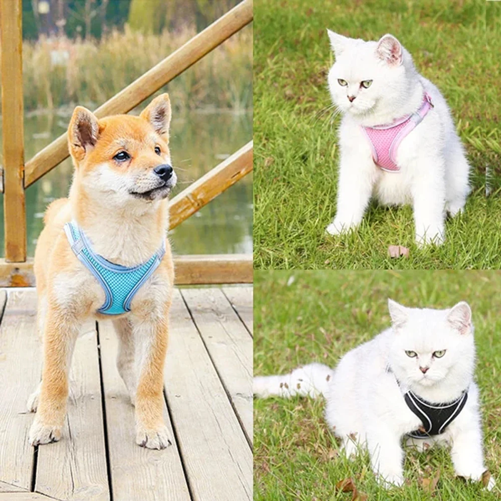 Reflective Leash For Small Medium Large Pet Dogs Cats Adjustable Outdoor Use Animal Vest Rope Breathable Reflective Pet Leash
Reflective Leash For Small Medium Large Pet Dogs Cats Adjustable Outdoor Use Animal Vest Rope Breathable Reflective Pet Leash