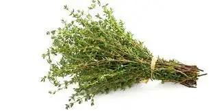 Thyme protective immune menstrual weightloss facial aesthetic sale health healthy beauty woman bodycare herbalcare organic
Thyme protective immune menstrual weightloss facial aesthetic sale health healthy beauty woman bodycare herbalcare organic