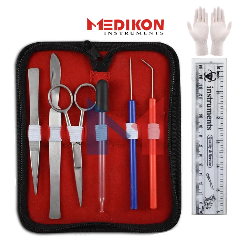 30 Kits/Sets German Zippy Dissecting Kit Students Anatomy Biology Practice Kits Stainless Steel Dissecting Scalpel With Blades
30 Kits/Sets German Zippy Dissecting Kit Students Anatomy Biology Practice Kits Stainless Steel Dissecting Scalpel With Blades