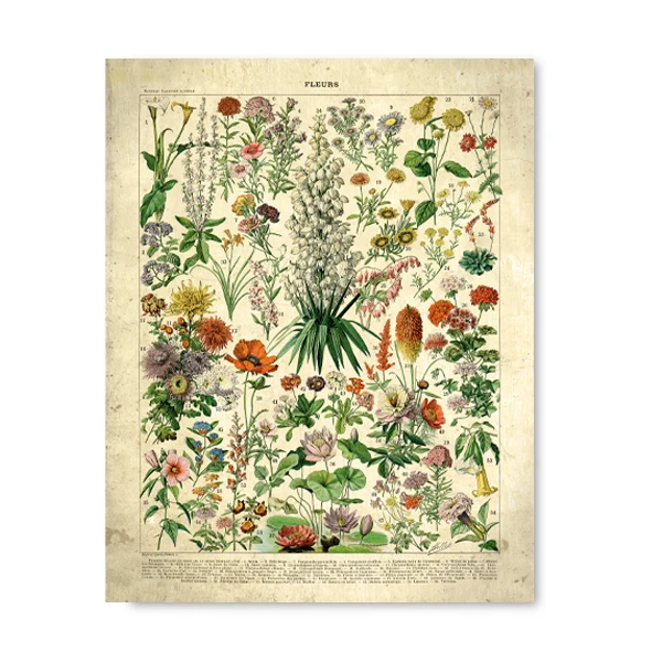 French Flowers Fleurs Vintage Posters and Prints Botanical Retro Wall Art Canvas Painting Pictures for Living Room Home Decor
French Flowers Fleurs Vintage Posters and Prints Botanical Retro Wall Art Canvas Painting Pictures for Living Room Home Decor
