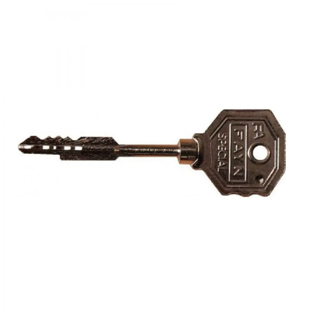 FIBER RAW KEY 50 pcs quality solid steel material professional locksmith material EU breaker door lock
FIBER RAW KEY 50 pcs quality solid steel material professional locksmith material EU breaker door lock