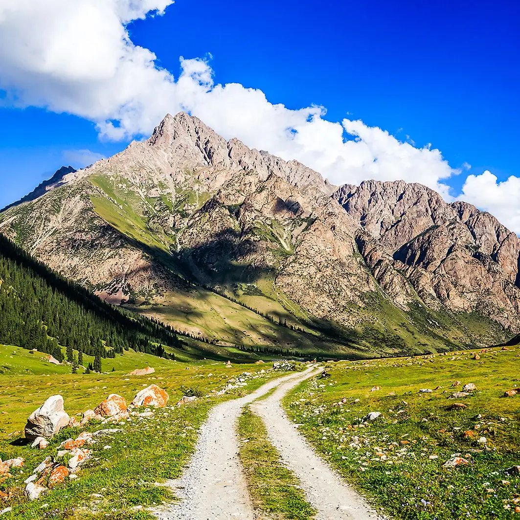 Curtain Mountain View Valley Road Clouds Sky Summer Landscape Scenery Blue Green White
Curtain Mountain View Valley Road Clouds Sky Summer Landscape Scenery Blue Green White