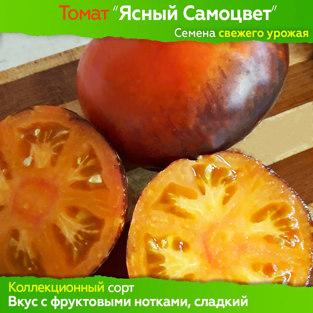 Томат Яркий Самоцвет Отзывы Фото