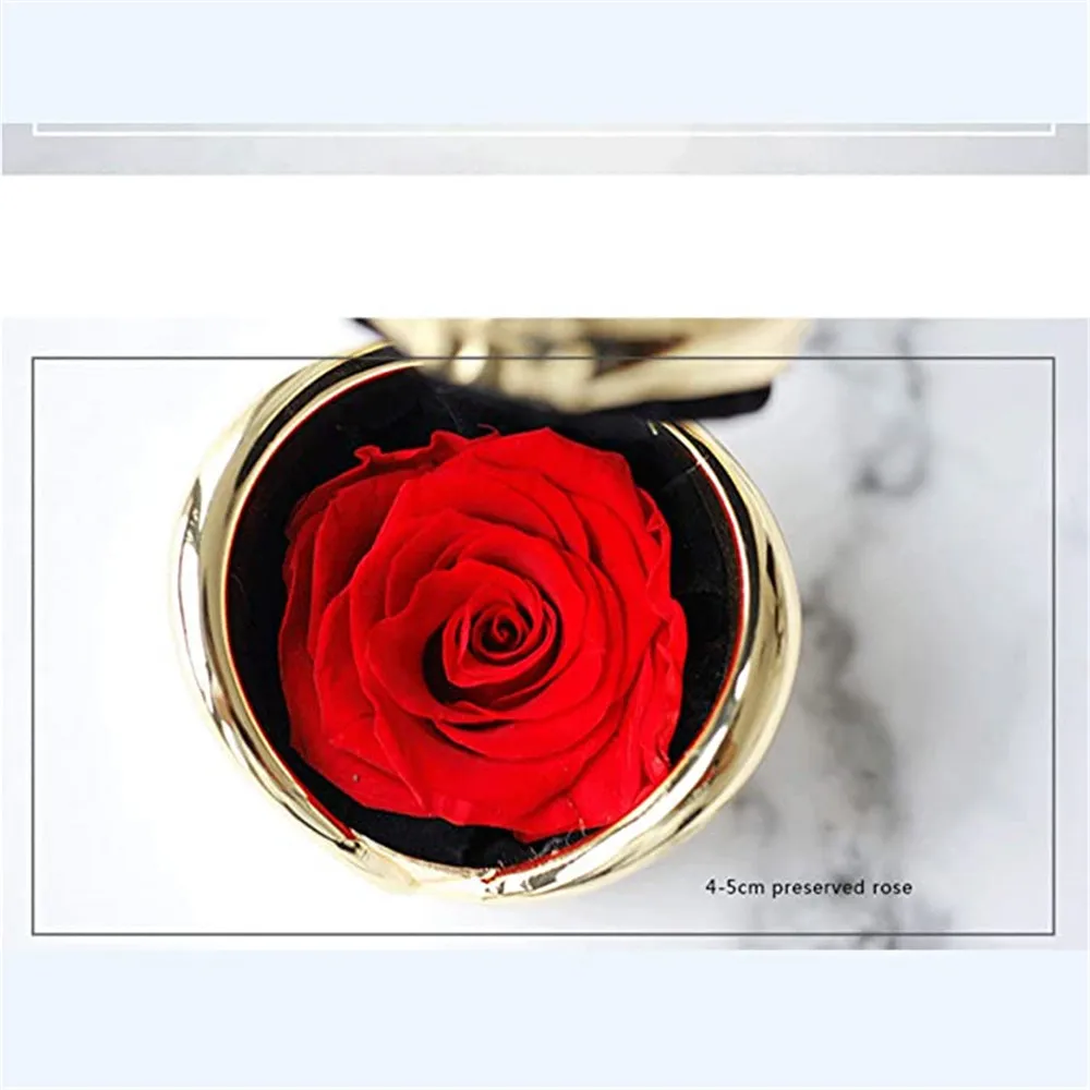 Mother day Handmade Preserved Real Rose Carnation Birthday Presents Valentines Day Gift Women Real Flowers Eternal Roses In Box
Mother day Handmade Preserved Real Rose Carnation Birthday Presents Valentines Day Gift Women Real Flowers Eternal Roses In Box