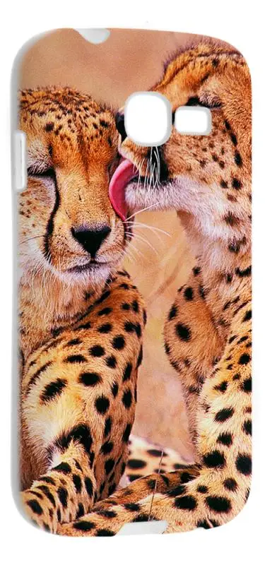 Чехол силиконовый для Samsung S7262 Galaxy Star Plus RHDS TPU (Белый) (Дизайн 172) | Мобильные