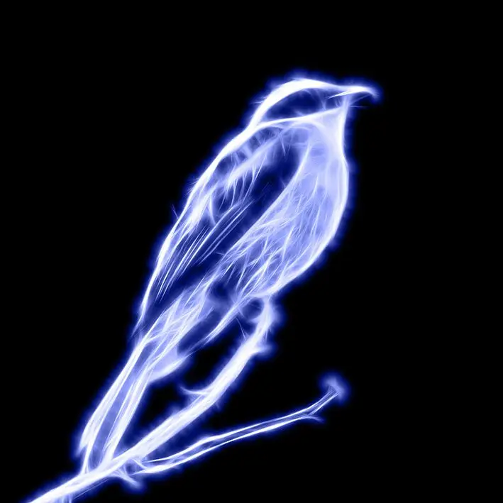 Curtain Abstract Glowing Bird Pattern in Dark Space Decorative Futuristic Digital Artwork Blue White Black
Curtain Abstract Glowing Bird Pattern in Dark Space Decorative Futuristic Digital Artwork Blue White Black