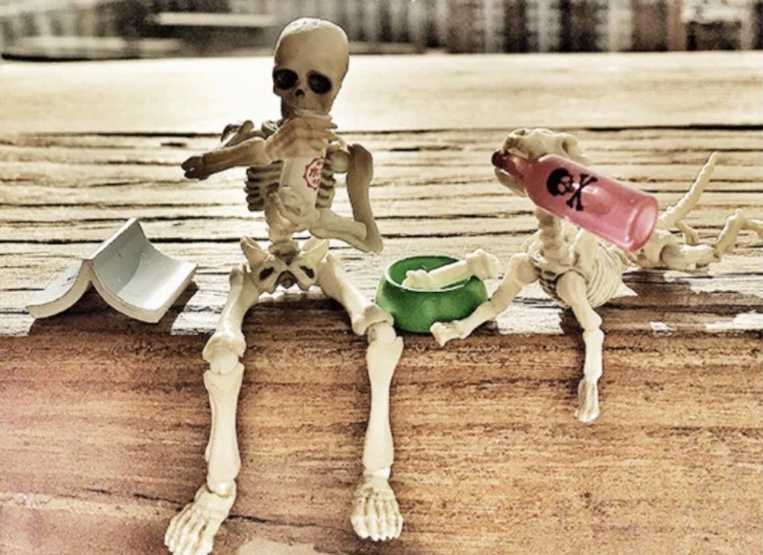 Mr. Bone Innovative Toy for Adults Kids Halloween Gifts Novelty toy Skeleton Family
Mr. Bone Innovative Toy for Adults Kids Halloween Gifts Novelty toy Skeleton Family