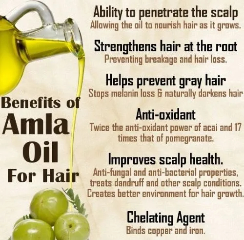 Dabur Amla India Gooseberry Hair Growth Care Oil Strong Rapid Nourishing Prevent Loss Natural Original Vitamin E 200Ml
Dabur Amla India Gooseberry Hair Growth Care Oil Strong Rapid Nourishing Prevent Loss Natural Original Vitamin E 200Ml