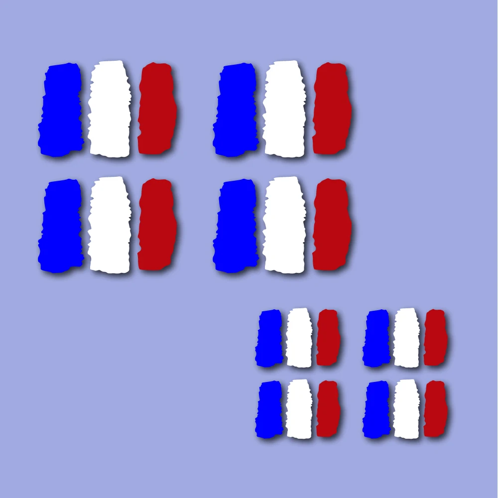 X8 Pack France flag sticker vinyl for helmet bike car bicycle (2 measurements) | Спорт и развлечения