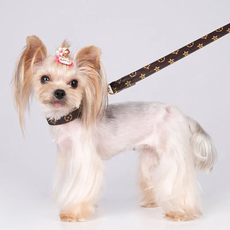 Personalized Pet Collar Set Dog Leash Luxury Leather Chihuahua Cat Collar Adjustable Medium Small Dogs Necklace Pet Accessories
Personalized Pet Collar Set Dog Leash Luxury Leather Chihuahua Cat Collar Adjustable Medium Small Dogs Necklace Pet Accessories