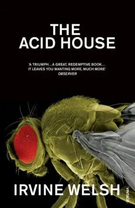 

The Acid House, Современная художественная литература, детский подарок для детей, книга для чтения, книжки с картинками, романы