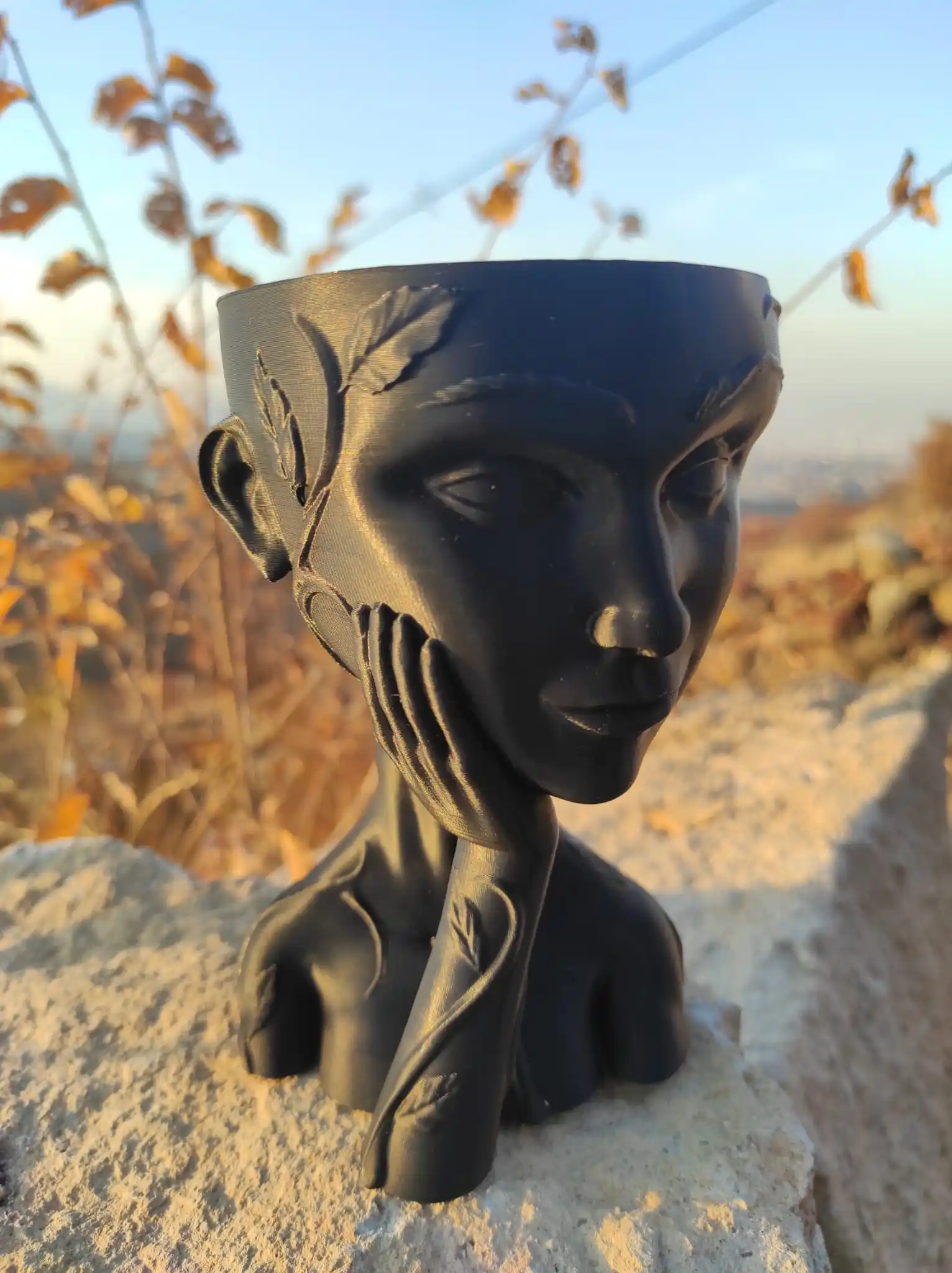 3d дизайн черный цветочный горшок venus, любители кактусов и цветов, органический пластик и перерабатываемый материал 15*15*15
3d дизайн черный цветочный горшок venus, любители кактусов и цветов, органический пластик и перерабатываемый материал 15*15*15