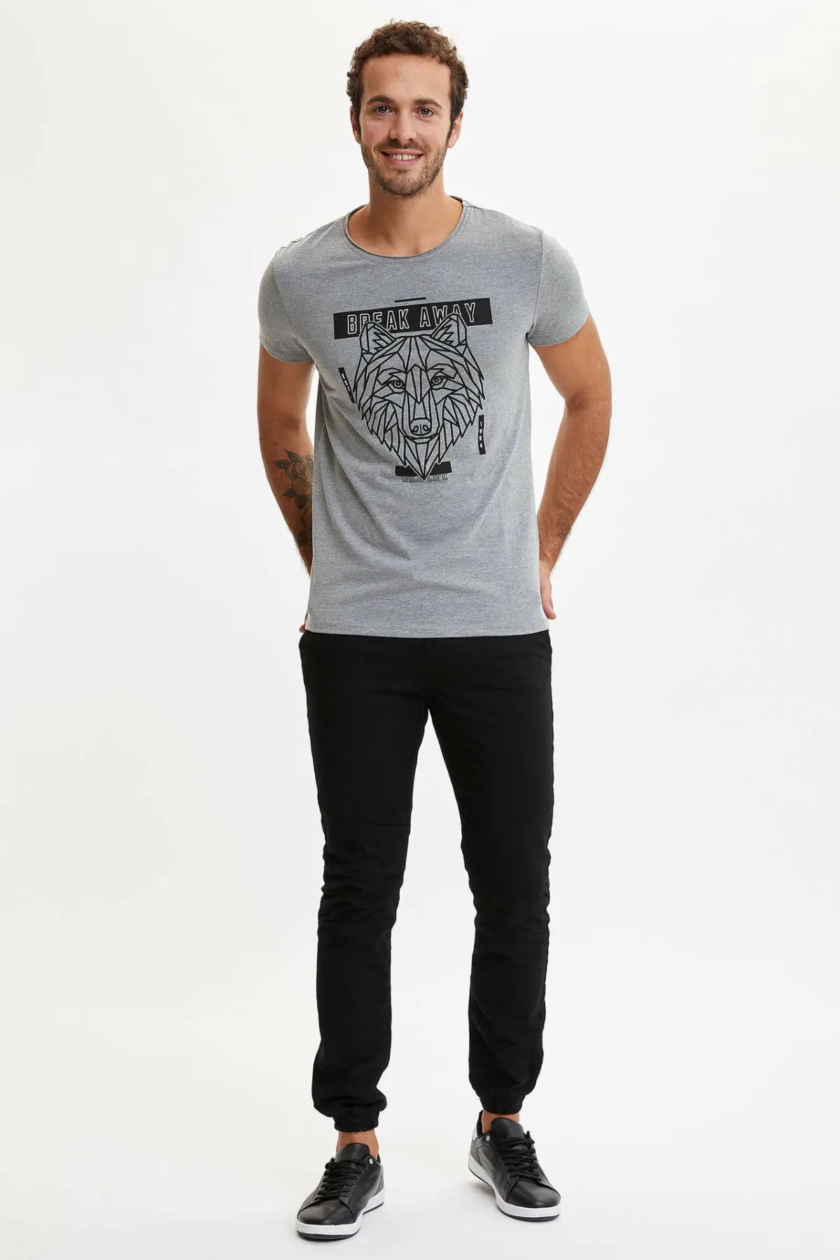 Мужская летняя футболка DeFacto серая с принтом льва светильник | одежда