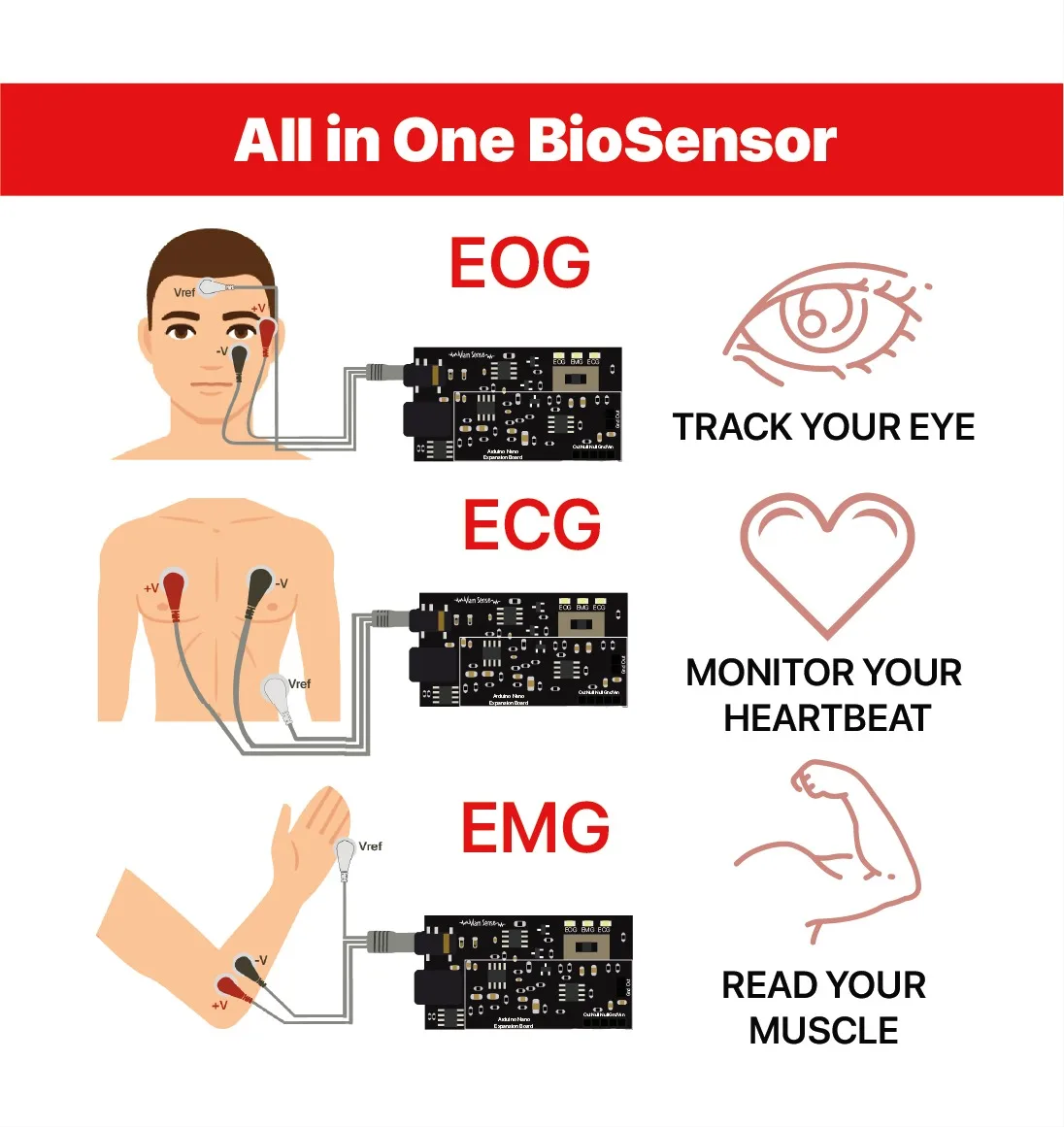 EMG || ECG || EOG Sensor (All in One BioSensor for Muscle, Eye and Heart Signals,Arduino Nano Shield ) -MaM Sense-
EMG || ECG || EOG Sensor (All in One BioSensor for Muscle, Eye and Heart Signals,Arduino Nano Shield ) -MaM Sense-