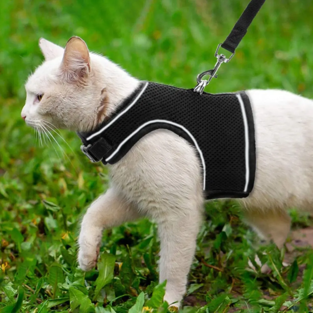 Breathable Cat Dog Escape-Proof Pet Clothes Puppy Dogs Vest Adjustable Easy Control Reflective Free Shipping
Breathable Cat Dog Escape-Proof Pet Clothes Puppy Dogs Vest Adjustable Easy Control Reflective Free Shipping