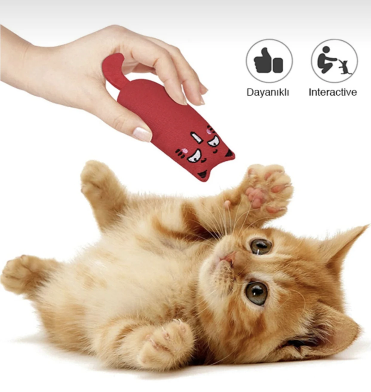 2021 Trend Cat Pet Fidget Toys Grass Cat Dental Care Stress İnteractive Funny Toy Kitten Chewing Toy игрушки для кошек mascotas
2021 Trend Cat Pet Fidget Toys Grass Cat Dental Care Stress İnteractive Funny Toy Kitten Chewing Toy игрушки для кошек mascotas