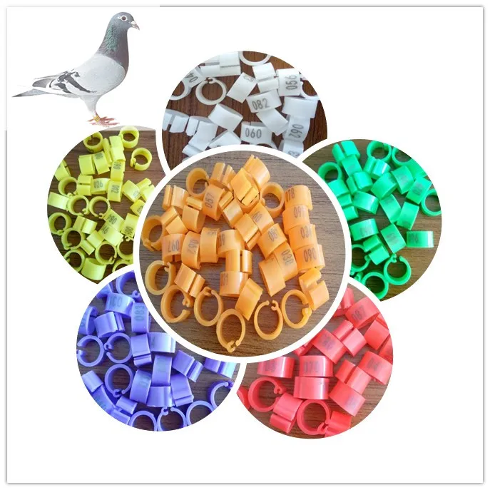 100 pcs Chicken Hen Pigeons Rings 8mm Bayonet Identification Ring Opening Pigeon Ring Color Pigeon Foot Ring 1-100 numbers
100 pcs Chicken Hen Pigeons Rings 8mm Bayonet Identification Ring Opening Pigeon Ring Color Pigeon Foot Ring 1-100 numbers