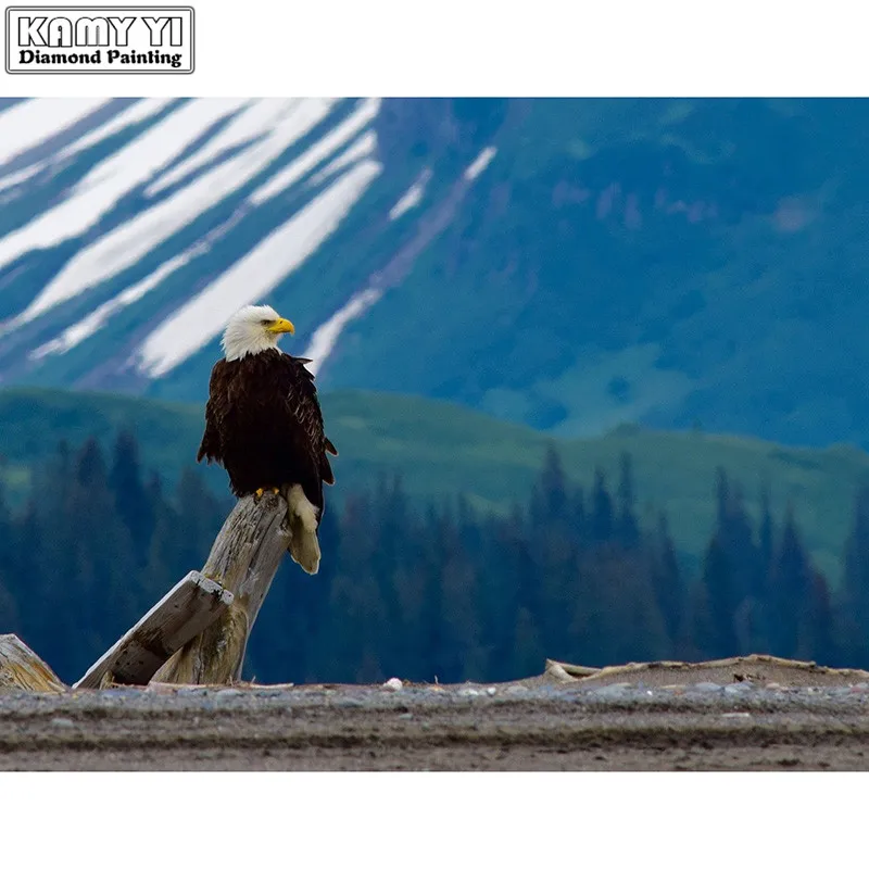 "5D DIY Diamond embroidery Full Square Diamond mosaic Full eagle Round Diamond painting Cross stitch
"5D DIY Diamond embroidery Full Square Diamond mosaic Full eagle Round Diamond painting Cross stitch
