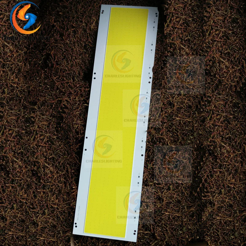 CHARLES LIGHTING Super Bright Retangular DC 27-36V 400W 480*120mm Fishing Rod COB LED Light Source Outdoor Camping Lamp floodlig | Лампы и