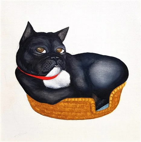 High quality Oil painting Canvas Reproductions bertie in his basket by beryl cook Painting hand painted
High quality Oil painting Canvas Reproductions bertie in his basket by beryl cook Painting hand painted