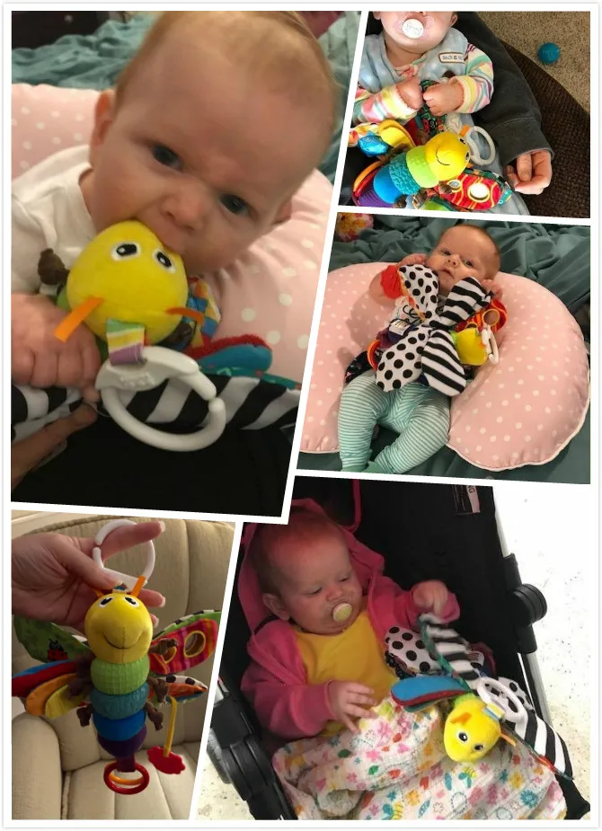 Firefly Rattle Toys Infant kids toys butterfly Wrist Rattle Plush Doll Mobile Music Hanging with Teether and Clip for Girls boys
Firefly Rattle Toys Infant kids toys butterfly Wrist Rattle Plush Doll Mobile Music Hanging with Teether and Clip for Girls boys