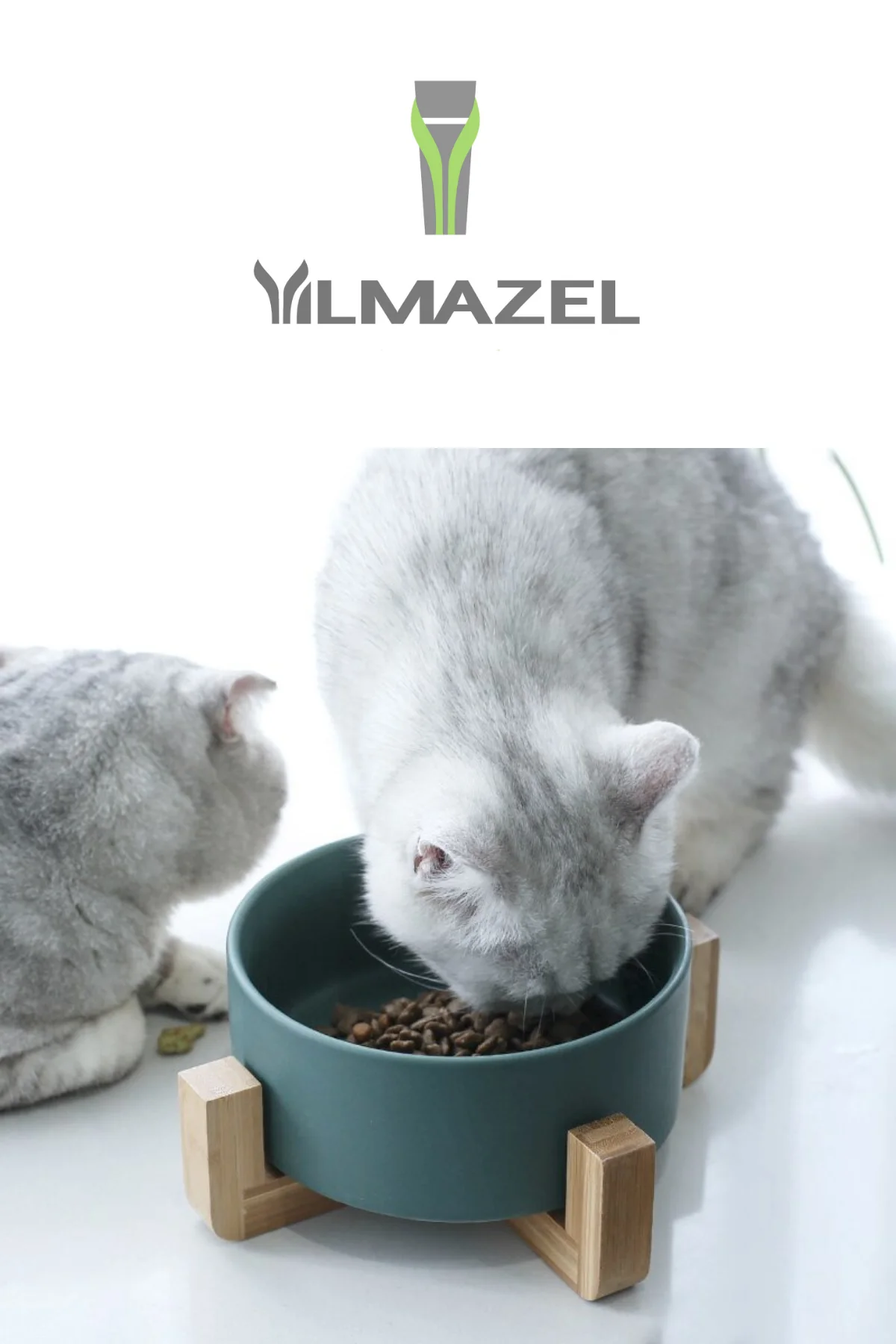 Ceramic Gatos Cat Accessories Dog Dish with Wood Stand Water Bowl for Puppy Pet Food Feeder Durable No Spill Feeding Supllies
Ceramic Gatos Cat Accessories Dog Dish with Wood Stand Water Bowl for Puppy Pet Food Feeder Durable No Spill Feeding Supllies