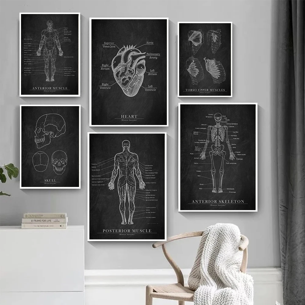 Human Anatomy Artwork Medical Canvas Painting Vintage Muscle Skeleton Education Poster Wall Picture Print Hospital Clinic Decor
Human Anatomy Artwork Medical Canvas Painting Vintage Muscle Skeleton Education Poster Wall Picture Print Hospital Clinic Decor