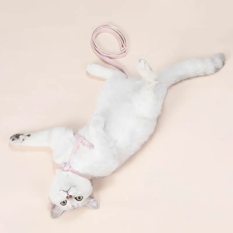 Pet Straps Cat Harness Supplies for Small Medium Dogs Nylon Plaid Cute Lovely Starfish Walking Leashes Collar Set Accessories
Pet Straps Cat Harness Supplies for Small Medium Dogs Nylon Plaid Cute Lovely Starfish Walking Leashes Collar Set Accessories