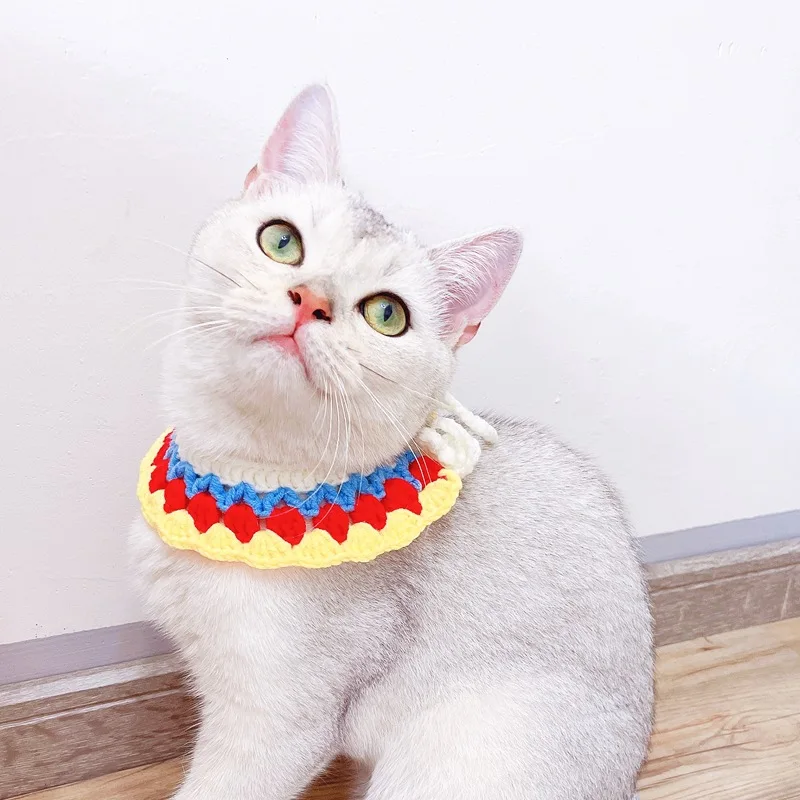 Handmade Knitting Cats Collars Small Dogs Bowknot Bowtie Chihuahua Puppies Necklace
Handmade Knitting Cats Collars Small Dogs Bowknot Bowtie Chihuahua Puppies Necklace