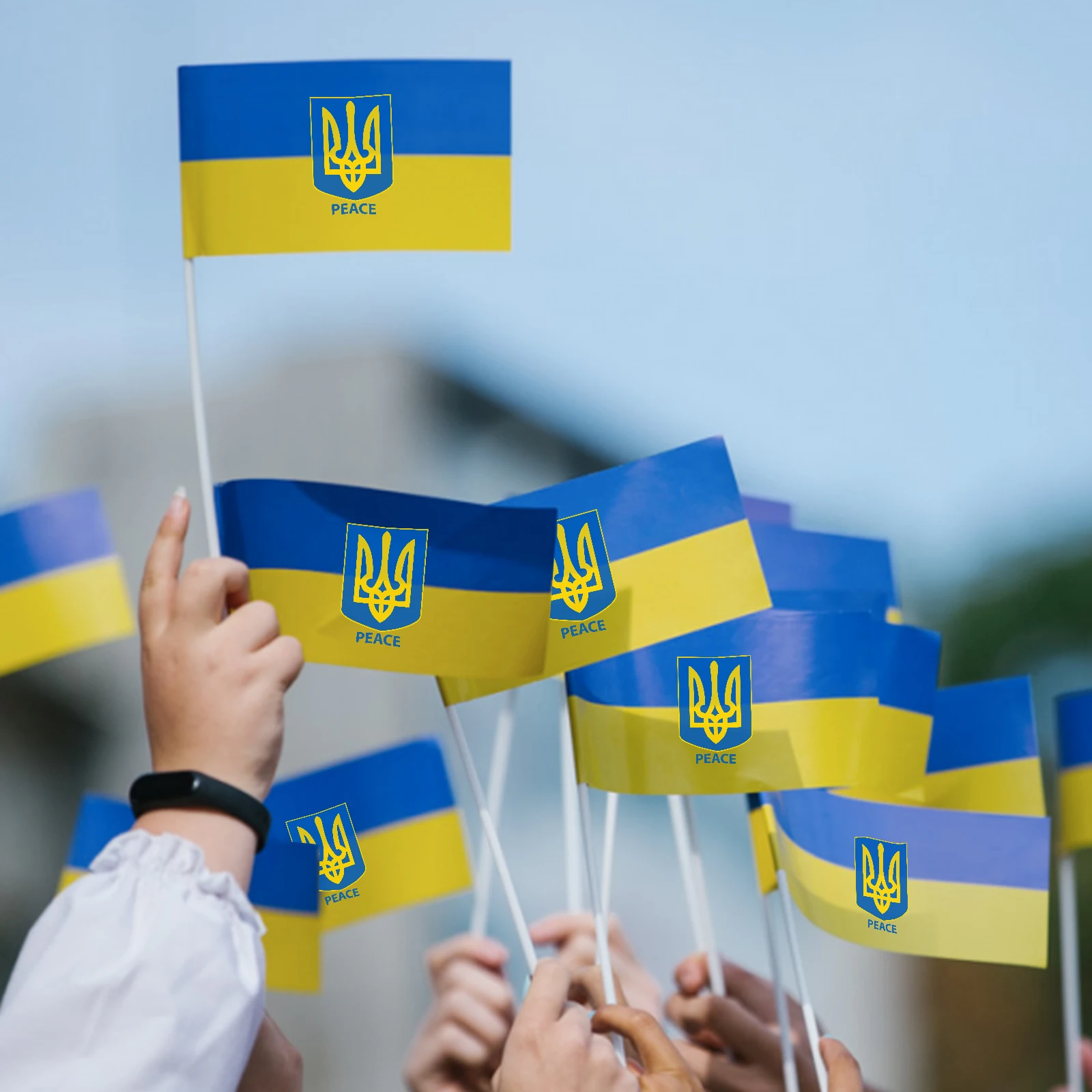 10pcs/lot Ukraine Small HandHeld Mini Flag Ensign With White Pole Hand Held Stick Flags Banner 14*21cm
10pcs/lot Ukraine Small HandHeld Mini Flag Ensign With White Pole Hand Held Stick Flags Banner 14*21cm