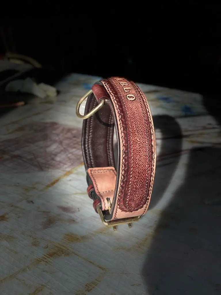 Dog Collar, Dog Collar Leather, Dog Harness Leather, Dog Leash Leather, Dog Clothes, Pet Adjustable Dog Collar, with Name, PetsS
Dog Collar, Dog Collar Leather, Dog Harness Leather, Dog Leash Leather, Dog Clothes, Pet Adjustable Dog Collar, with Name, PetsS