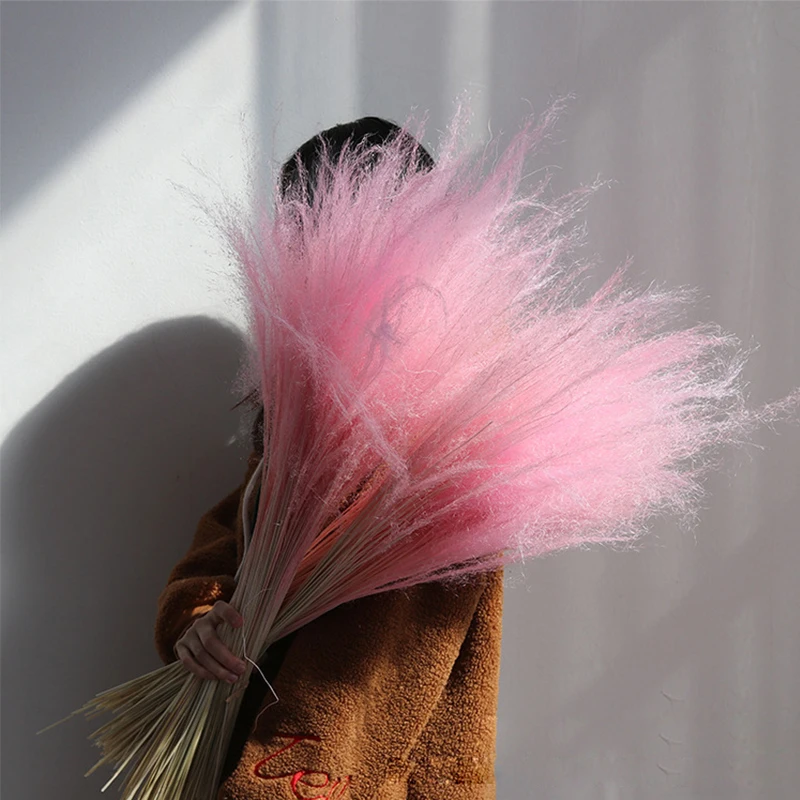 40-55cm Pink White Pampas Grass Decor Wedding Arrangement Accessories Natural Dried Flowers Party Store Windows Room Decoration
40-55cm Pink White Pampas Grass Decor Wedding Arrangement Accessories Natural Dried Flowers Party Store Windows Room Decoration