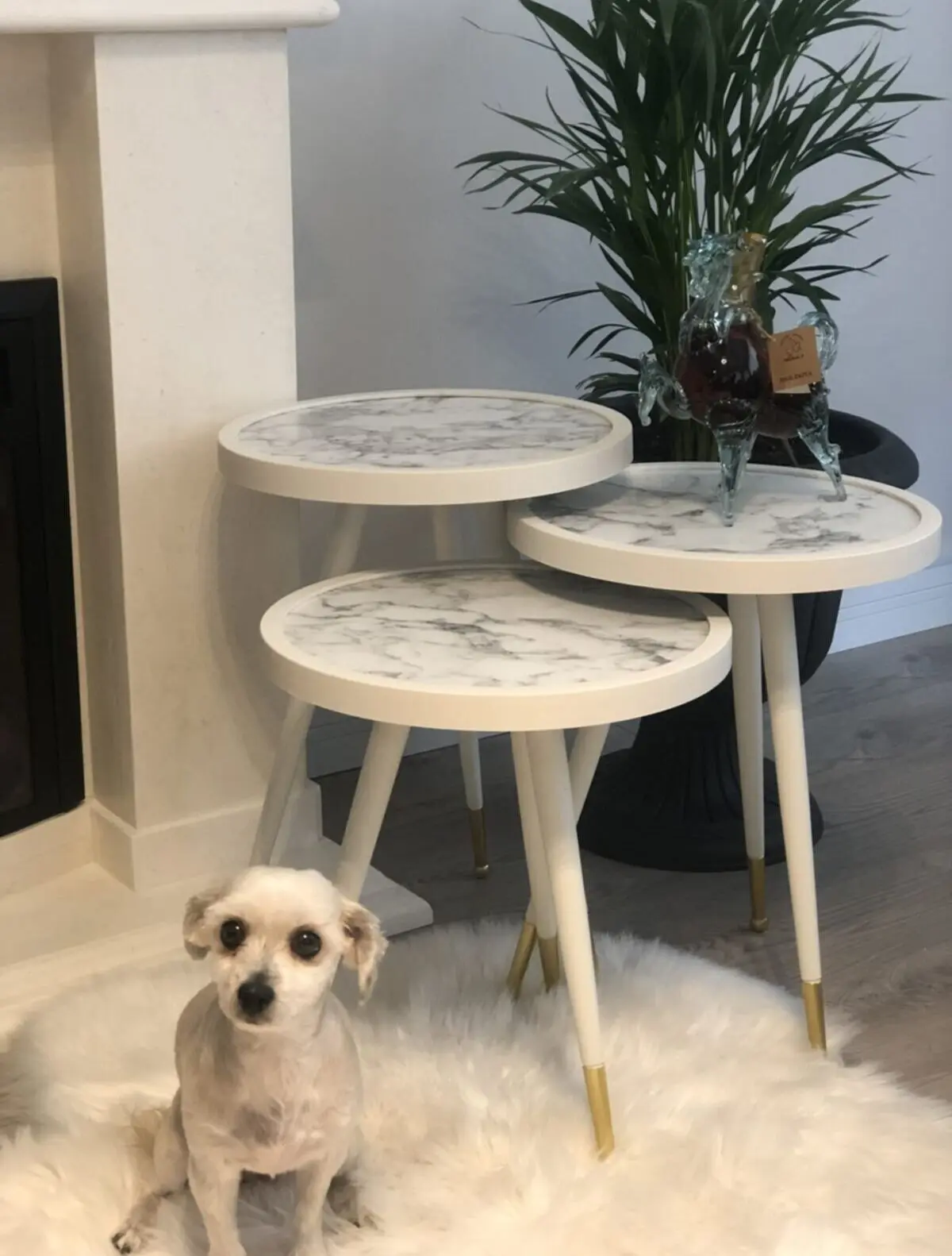 Nesting Table Modern 3 Pieces Scandinavian Style Gold Metal Leg De-Mounted Side Table Tea Coffee Service Nested Table Special Pr
Nesting Table Modern 3 Pieces Scandinavian Style Gold Metal Leg De-Mounted Side Table Tea Coffee Service Nested Table Special Pr
