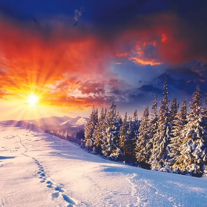 Curtain Sunset in Winter Mountains Colorful Dramatic Sky Snow Covered Pine Trees Forest Landscape Picture
Curtain Sunset in Winter Mountains Colorful Dramatic Sky Snow Covered Pine Trees Forest Landscape Picture
