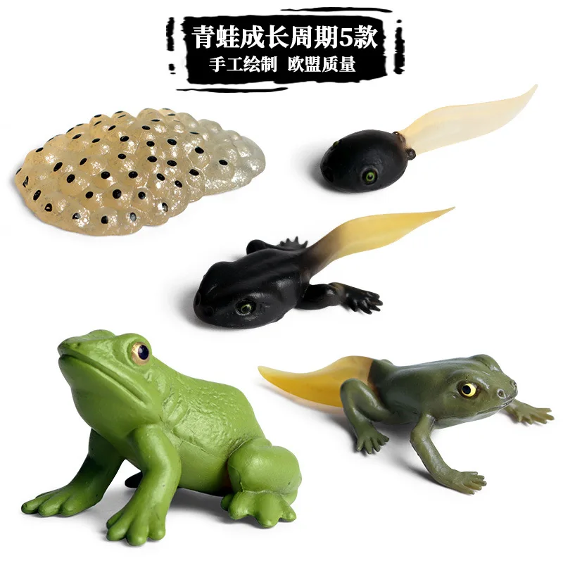Children's Science and Education Simulation Animal Growth Cycle Model Plastic Toy Frog Butterfly Rooster Turtle Chinese Horsesho
Children's Science and Education Simulation Animal Growth Cycle Model Plastic Toy Frog Butterfly Rooster Turtle Chinese Horsesho