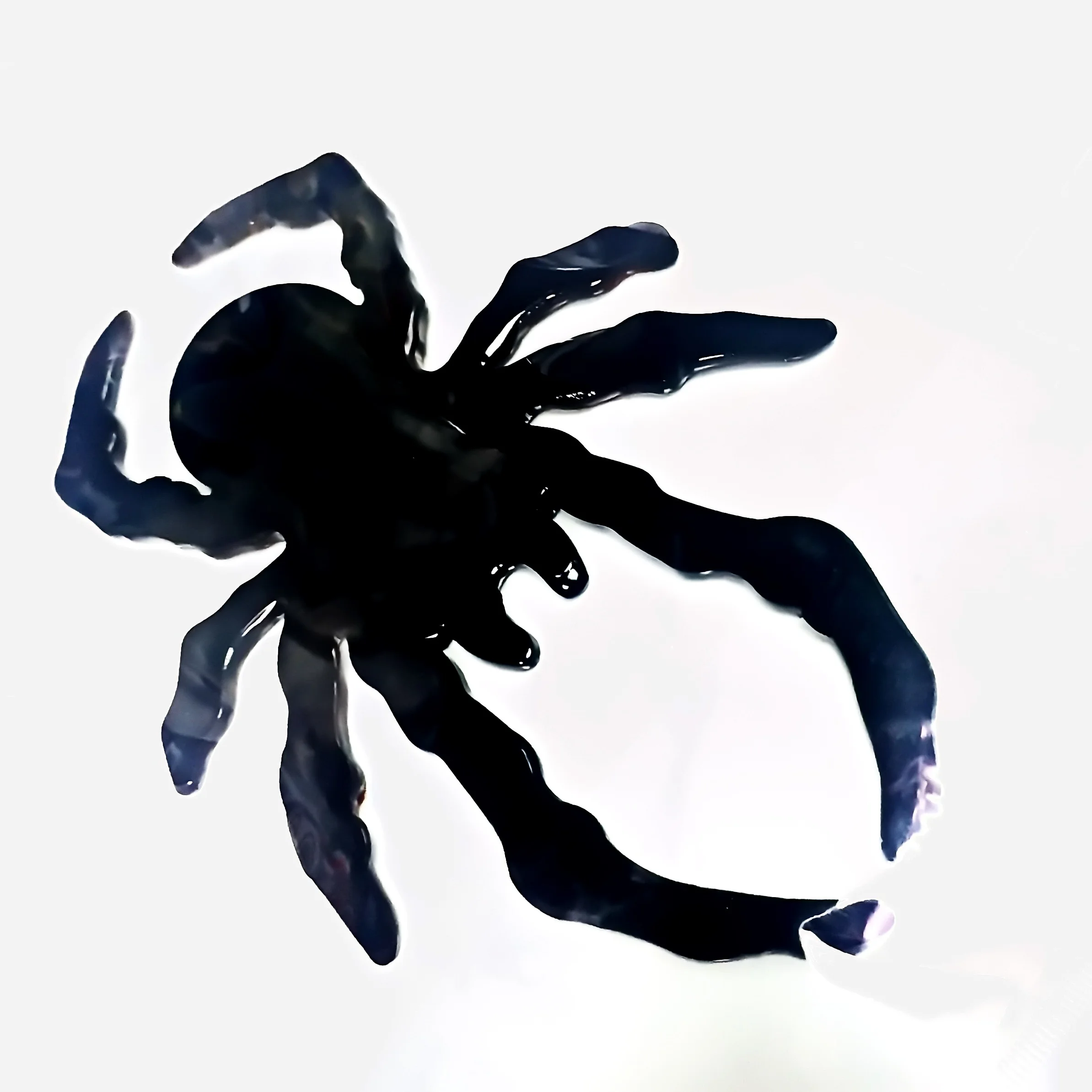 1PIECE Sticky 17cm spider birthday party Favor Favour prize pinata Bag Filler Loot Gag halloween car decoration Gift Vending toy
1PIECE Sticky 17cm spider birthday party Favor Favour prize pinata Bag Filler Loot Gag halloween car decoration Gift Vending toy